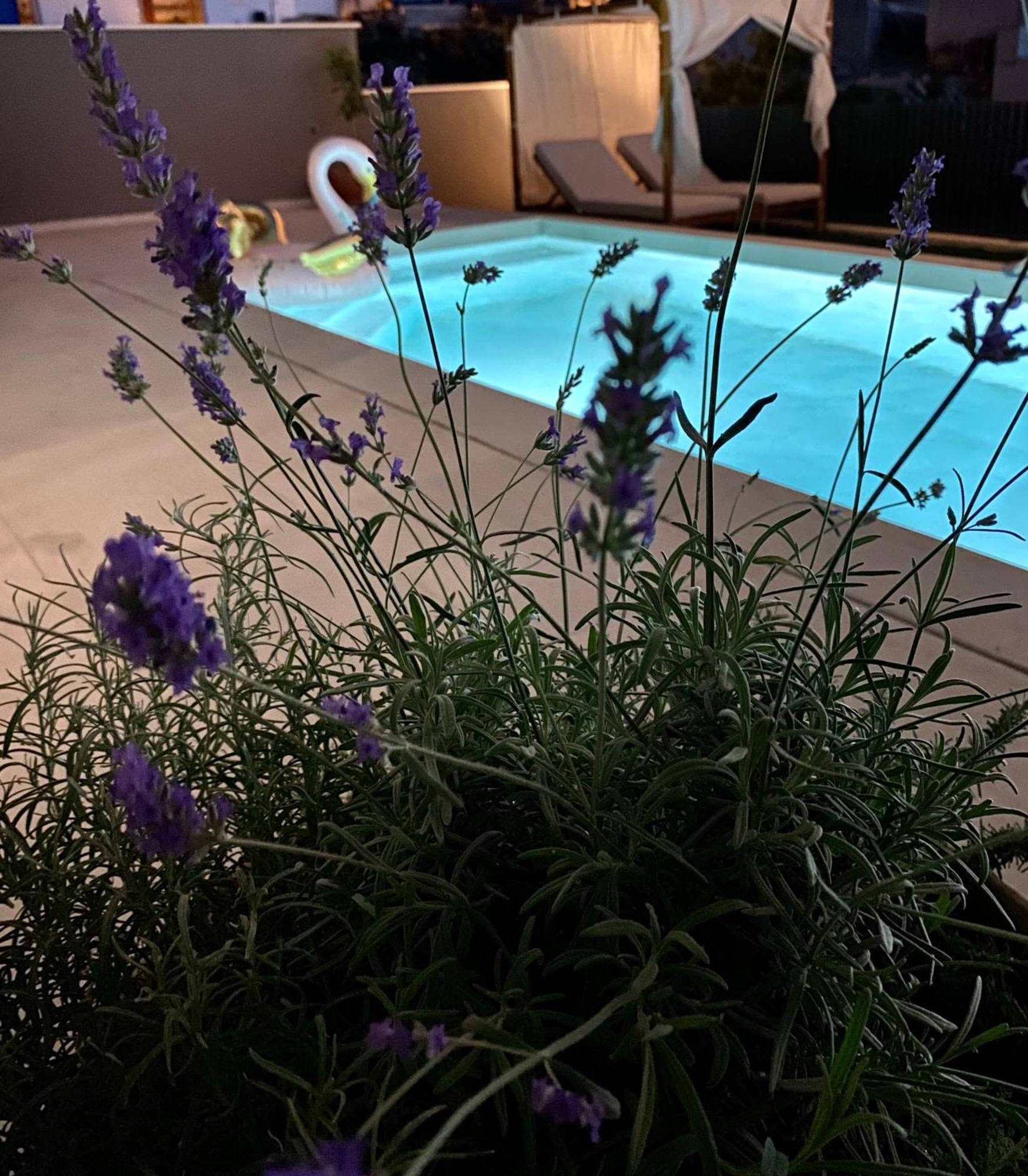 Villa 5 Makarska Luaran gambar